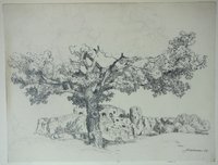Alter Baum am Regenstein, von Christian Hallbauer, Oktober 1924