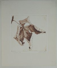Herbstblatt, von Christian Hallbauer