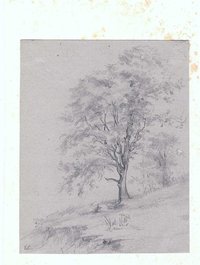 Hainbuche am Abhang, von Elise Crola, nach 1840