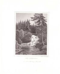 Ilsetal: Wasserfall Bach mit Wasserfall, 1854 (aus: Lange "Der Harz")