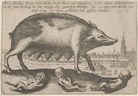 Ware abbildung Dreyer Erschreklichen Wunder-thieren vnd Mißgeburten, so von einner Schwein-mutter//bey der Statt Strasburg, vor dem Metziger-thor geworffen worden, den 20 Iuny 1627. Welche vom/ dorff Lings ist dahin geschrieben und geflehet worden.