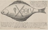 Conterfeth Eines wunder-Fisches Scholl,/ oder Platteyß genandt, so mit ungewonlichen/ Characteren gezeichnet, auf beyden seitten,/ wie hierbey zusehe, gefange im holländische/ Meer, und nach Rotterdam zumarckt gebracht./ Im Julio, Anno 1633.
