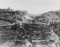 Jérusalem. Jardin du roi - Roi XX-4 vallée de Gehenne/Palestine
