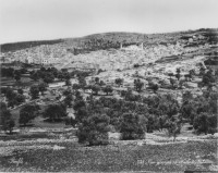Vue générale de Hebron. Palestine