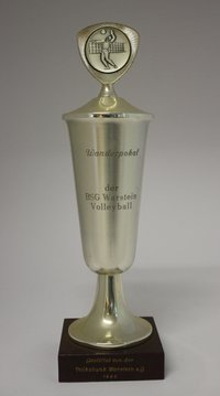 Pokal Volleyball