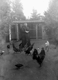 Glasplattennegativ, Großmama Bauer füttert ihre Hühner