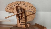 Gehirnschnitt-Modell von Eduard M. W. Weber