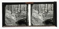 Pingenzug im Ausbiss eines Roteisensteinganges (Kalte Baum/Hessen)